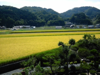 ひいじいちゃんの家！